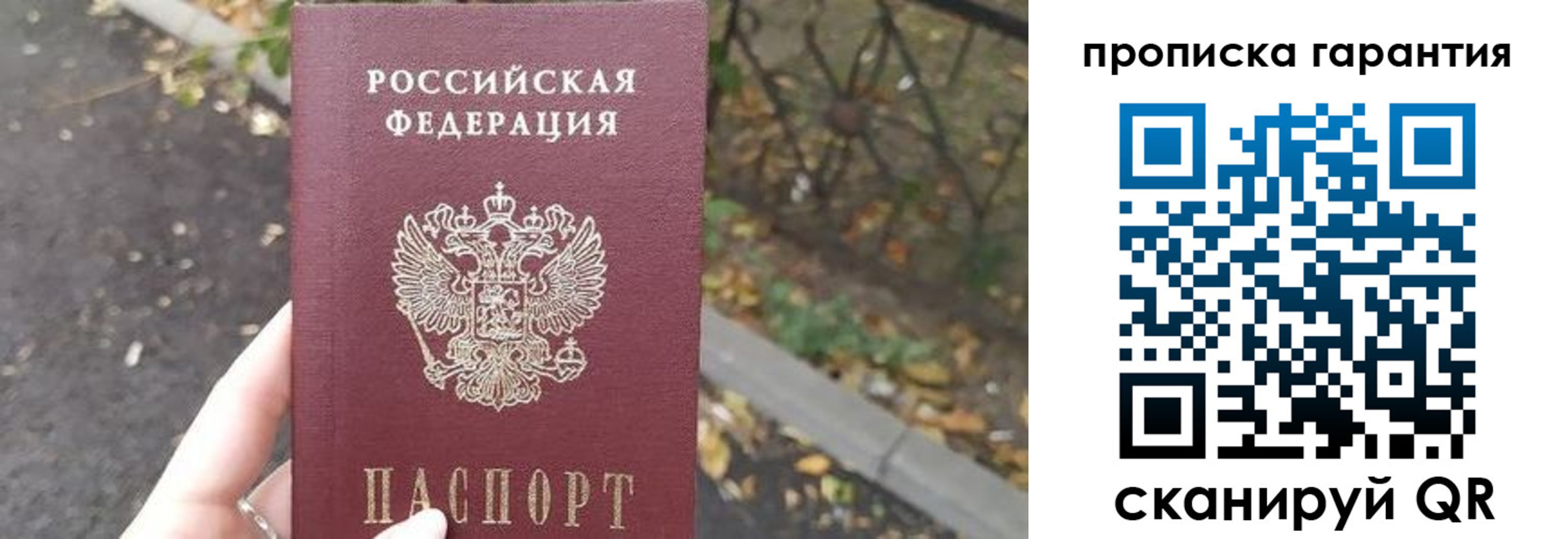 где прописаться в Мончегорске